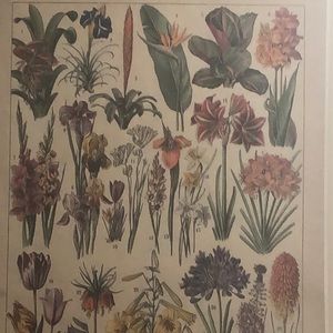 Meet your Posher, Sophie